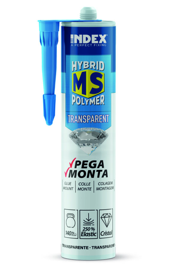 MSTR290